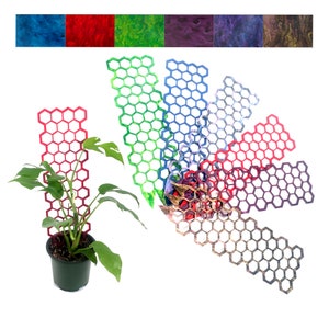 Honeycomb House Plant Garden Terrarium Trellis - Color Options