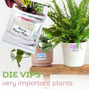 Targhette con nome per piante, adesivi per vasi da fiori VIP - Very Important Plants, Star Set 2 come regalo per gli amanti delle piante