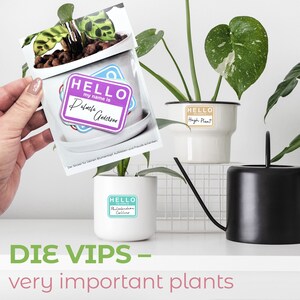 Divertenti adesivi per vasi di fiori, VIP - Piante molto importanti, Star Set 1 come regalo di inaugurazione della casa e regalo per gli amanti delle piante