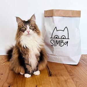 Sacchetto di carta personalizzabile in cui i gatti possono giocare o conservare i loro giocattoli