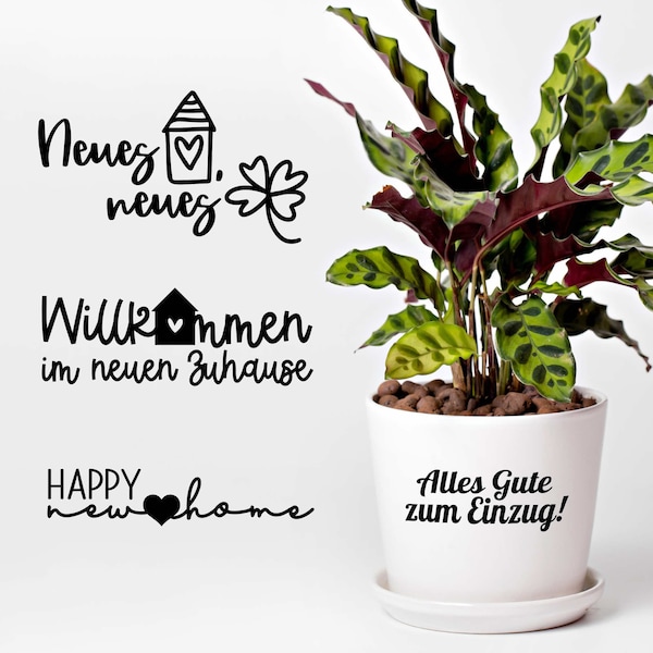 Aufkleber für Blumentopf als Geschenk zum Einzug, 4 verschiedene Designs, Einzugsgeschenk, Umzug