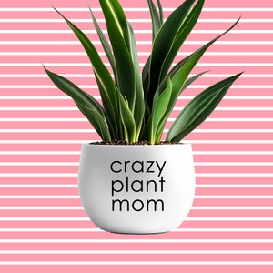 Pegatina para maceta o jarrón, Crazy Plant Mom or Dad, decoración divertida para el hogar o como regalo para amigos, familiares y amantes de las plantas.