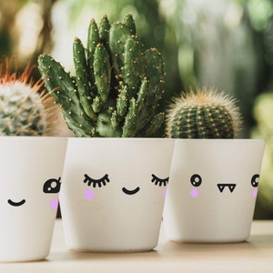 Könnte beinhalten: Drei weiße Keramik-Blumentöpfe mit niedlichen Gesichtern, jedes mit unterschiedlichen Gesichtsausdrücken. Die Töpfe sind mit grünen Kakteenpflanzen gefüllt.