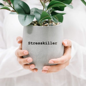 Puede incluir: Una maceta de cerámica gris con la palabra "Stresskiller" impresa en la parte delantera. La maceta está llena de pequeñas piedras y una planta verde con hojas.