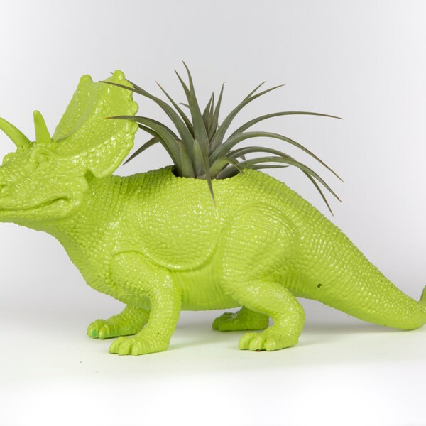 Lime Green Dinosaur planter, desk accessory, home and office decor