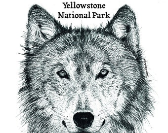 Yellowstone National Park Wolf Sticker