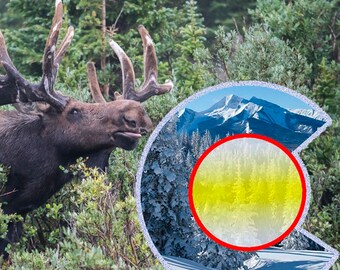 Colorado Flag "C" Shaped Sticker