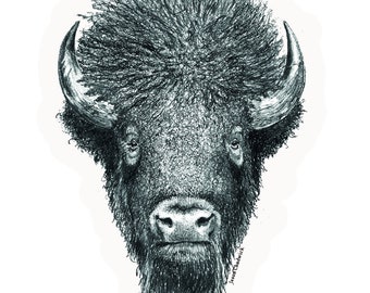 Yellowstone National Park Buffalo Sticker