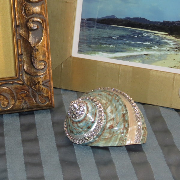 Jeweled Polished Green Banded Seashell with Swarovski Crystals Coastal Home Decor Beach Home Beach Wedding Coastal Art Beach Art