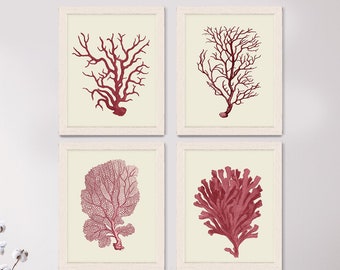 Coral Prints, Coral/Cream Set of 4 - Nautical Print Art Digital Illustration coral art Nautical Art Nautical Home Decor Nautical Wall Art