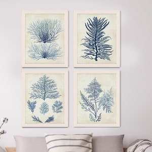 Nautical Decor Set 4 prints - Indigo Blue Seaweed 1 - Nautical Print Wall Art beach house decor picture bathroom decor Indigo Blue decor