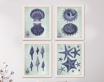 bathroom prints beach house decor - SeaShell Collection 2 - Nautical Print Wall Art nautical decor picture bathroom decor Indigo Blue decor