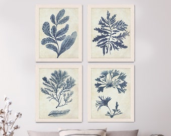 Nautical Art - Indigo Blue Seaweed 2 - 4 prints - Nautical Print Wall Art beach house decor nautical decor bathroom decor Indigo Blue decor