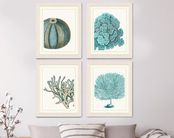 Set of 4 Blue Coral & Sea Urchin Prints - Nautical Print nautical decor Art Illustration nautical Poster beach house decor nautical wall art