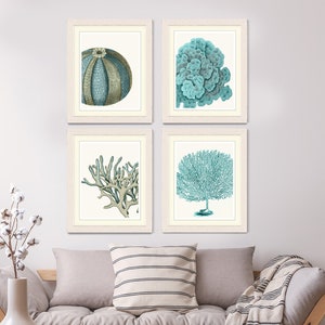 Set of 4 Blue Coral & Sea Urchin Prints - Nautical Print nautical decor Art Illustration nautical Poster beach house decor nautical wall art