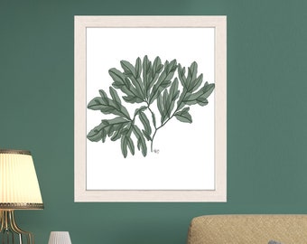 Seaweed illustration, seaweed print, nautical decor, nautical art, botanical print, coastal decor, green decorating  - Seaweed 4 green