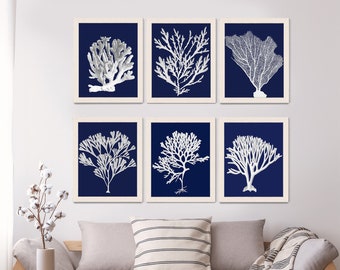 Set 6 Blue Corals 3 Coral Print nautical decor blue and white beach house decor island decor nautical art beach cottage coastal decor print