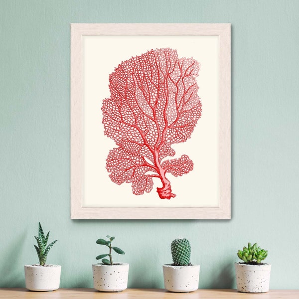 Coral, Sea Fan, Red - Nautical print sea picture beach decor wall decor nautical picture nautical decor beach house, coral print