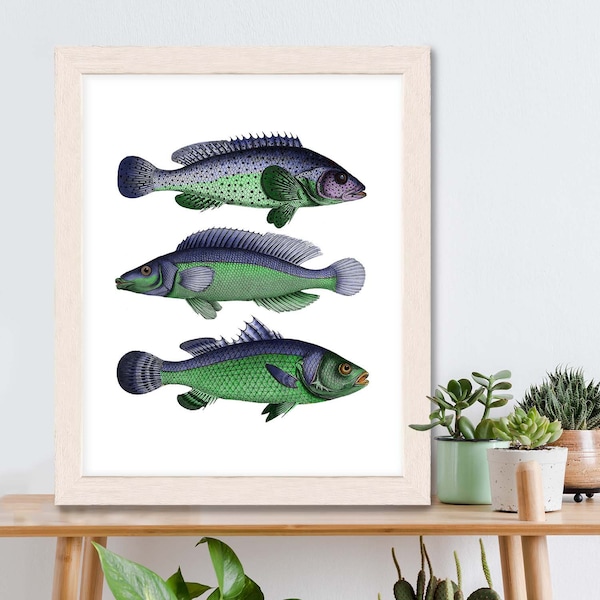 Fish art print - Blue/Green Fantasy Fish - fish print fishing gift fishermans gift fish wall art fish Gifts for Men birthday gift for dad