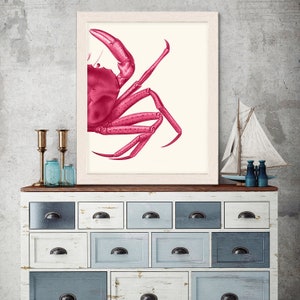 Crab Print, Pink on cream - Nautical print sea picture beach decor wall decor nautical picture coastal decor pink wall art pink Home decor