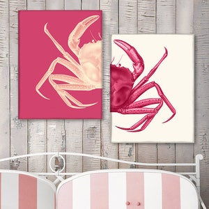 Crab Prints Pink, Crab art Nautical Print Beach Decor bathroom Decor Nautical Decor Wall Art Beach House Decor Crab Picture image 8