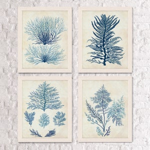 Nautisches Dekor Set 4 Drucke Indigo Blue Seaweed 1 Nautical Print Wall Art Strand Haus Dekor Bild Badezimmer Dekor Indigo Blue Dekor Bild 2