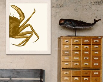 Crab Print, Mustard on Cream - crab art gold art print Nautical print beach decor wall decor marine painting nautical picture bathroom decor