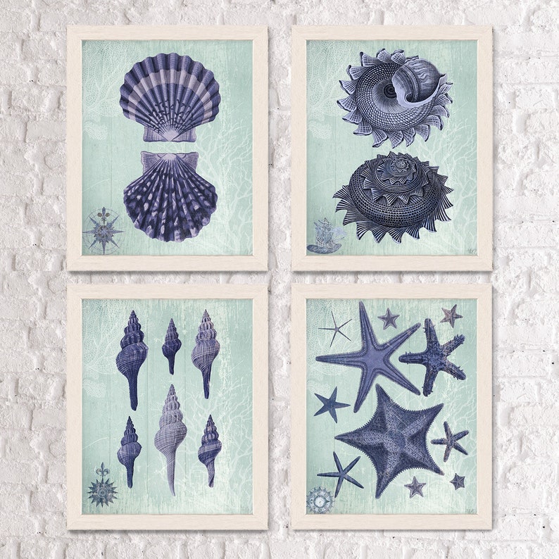 Bathroom Prints Beach House Decor Seashell Collection 2 | Etsy