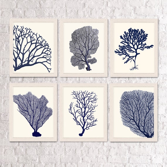 Coral Home Decor Set Of 6 Blue Coral Prints 2 Nautical Etsy
