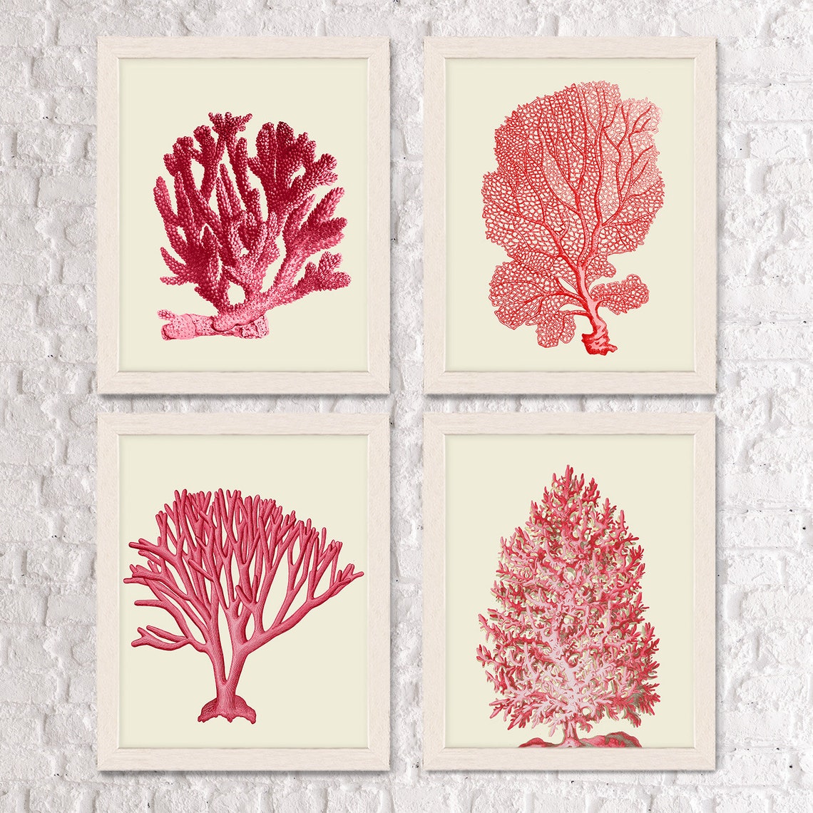 Coral Print Set 4 Red Coral Art Prints Nautical Print Coral Etsy