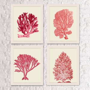 Coral print Set 4 Red Coral Art Prints Nautical Print coral home decor coral wall art coral decor red art print red room decor coastal art image 1