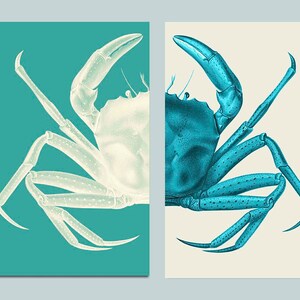 Nautical Art Prints Crab Prints Turquoise Nautical gift bathroom Decor Nautical Decor Wall Art Beach House Crab Picture housewarming gift image 4