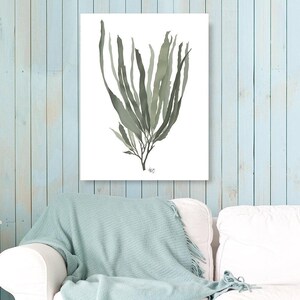 Green seaweed print, beach house decor, ocean artwork, nautical theme, coastal beach decor, green room art nature inspired - Seaweed 1 green image 7