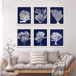 Coastal Wall art - Set of 6 white corals on blue art print - nautical print nautical art beach decor shore house art coastal bathroom