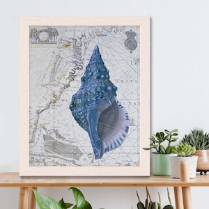 Stampa di conchiglia blu su mappa nautica 1, stampa artistica di conchiglia, decorazione di conchiglia, arte murale di conchiglia, arte murale costiera, arte murale del bagno, sala da pranzo