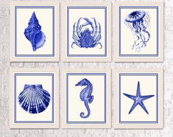 Nautical Prints Set of 6 Blue /Cream - Blue nautical art print blue crab print Beach Print Shell art Nautical Decor Beach Art coastal ideas