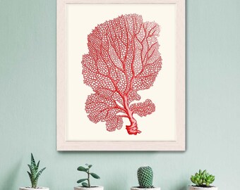 Coral, Sea Fan, Red - Nautical print sea picture beach decor wall decor nautical picture nautical decor beach house, coral print