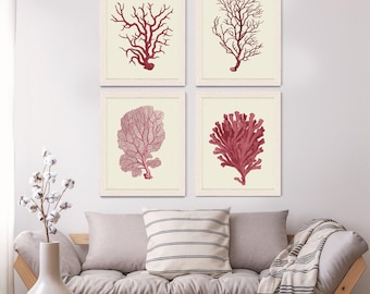 Coral Giclée Art Prints, Set of 4, Nautical Home Decor