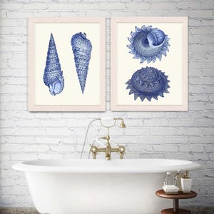 Blue Sea Shell Prints Set of 2 - seashell print Nautical Print sea shell print Beach House decor Beach Decor Nautical Decor Shell wall art