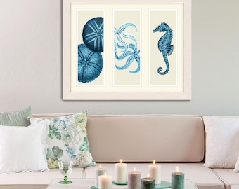 Starfish Seahorse Seaurchin in Blue on 3 panels, Nautical print beach house decor wall art wall hanging wall decor Nautical Decor Sea Urchin