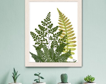 Mixed Fern Giclée Art Print, Botanical Greenery Wall Decor