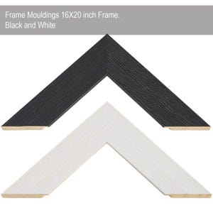 Whale poster - Five vintage whales and narwhal, Whale print Nautical print sea picture beach house decor wall decor marine painting nautical image 4