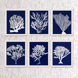 Coral Art Print Set - Nautical Blue Coastal Wall Decor image 2