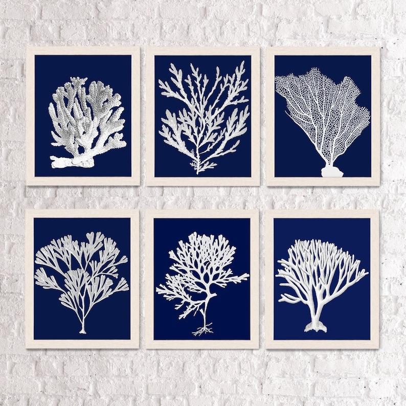 Coral Art Print Set - Nautical Blue Coastal Wall Decor image 2