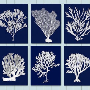 Coral Art Print Set - Nautical Blue Coastal Wall Decor image 3