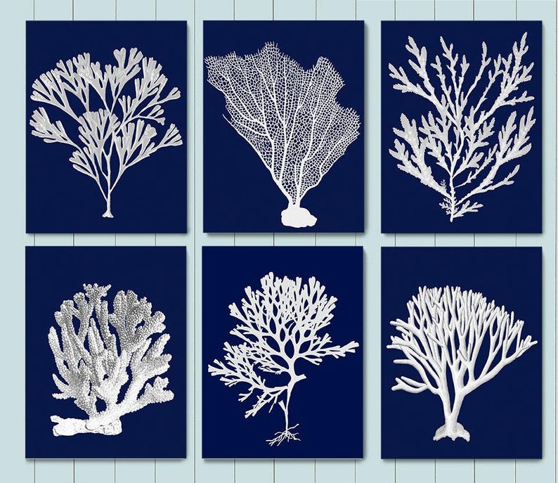 Coral Art Print Set - Nautical Blue Coastal Wall Decor image 3