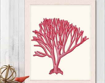 Red Coral Print 2 red room decor red Bathroom wall art sea coral art print sea coral decor Nautical Gift Nautical Bathroom Nautical wall Art