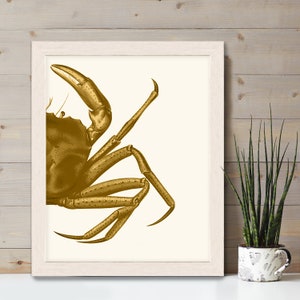 Crab Print, Mustard on Cream crab art gold art print Nautical print beach decor wall decor marine painting nautical picture bathroom decor image 8