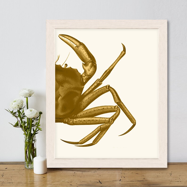 Crab Print, Mustard on Cream crab art gold art print Nautical print beach decor wall decor marine painting nautical picture bathroom decor image 3