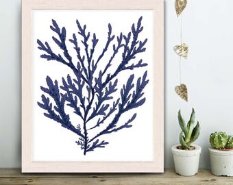 Navy Blue Nautical Print - Blue Coral art (15) Bathroom decor coral wall art coral beach decor coastal decor beach Coastal art marine print